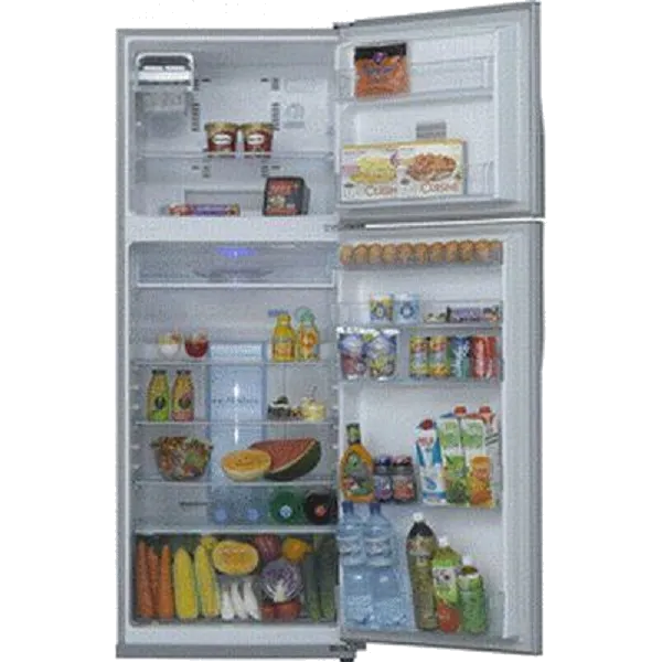 холодильник Toshiba GR-R49TR